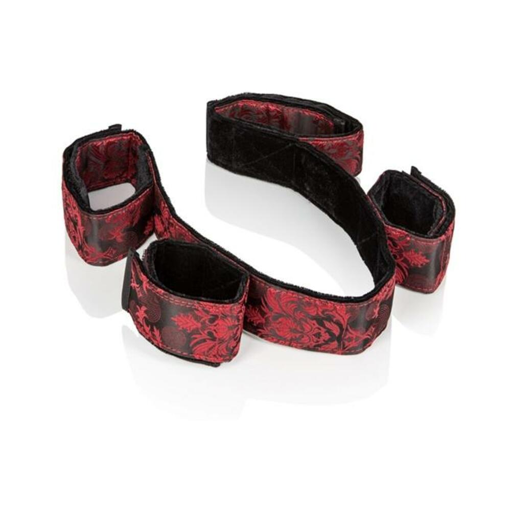 Scandal Bondage Bar