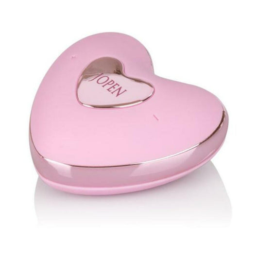 AMOUR REMOTE BULLET