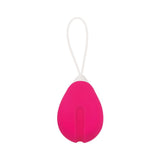 Evolved Remote Control Egg - Pink