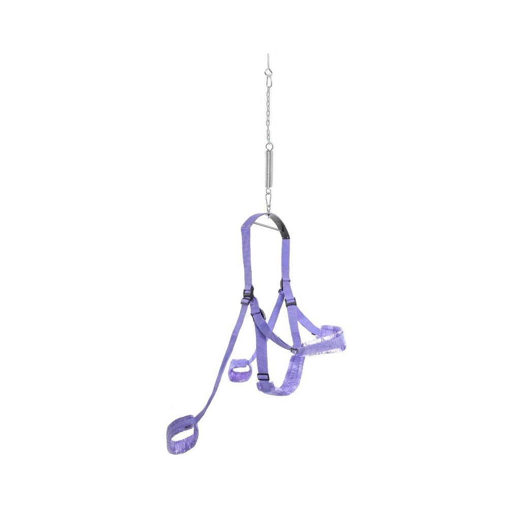 Fetish Fantasy Series Sex Swing - Black