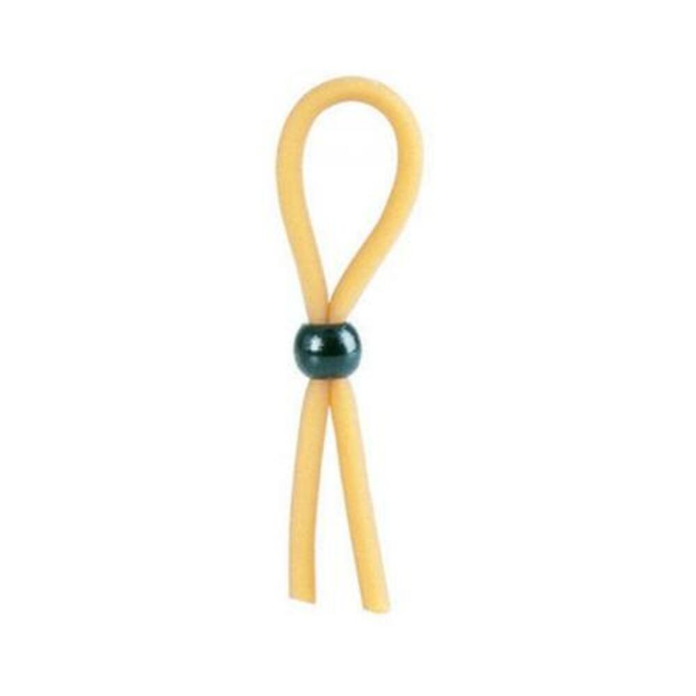 The lasso