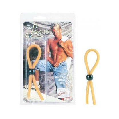 The lasso