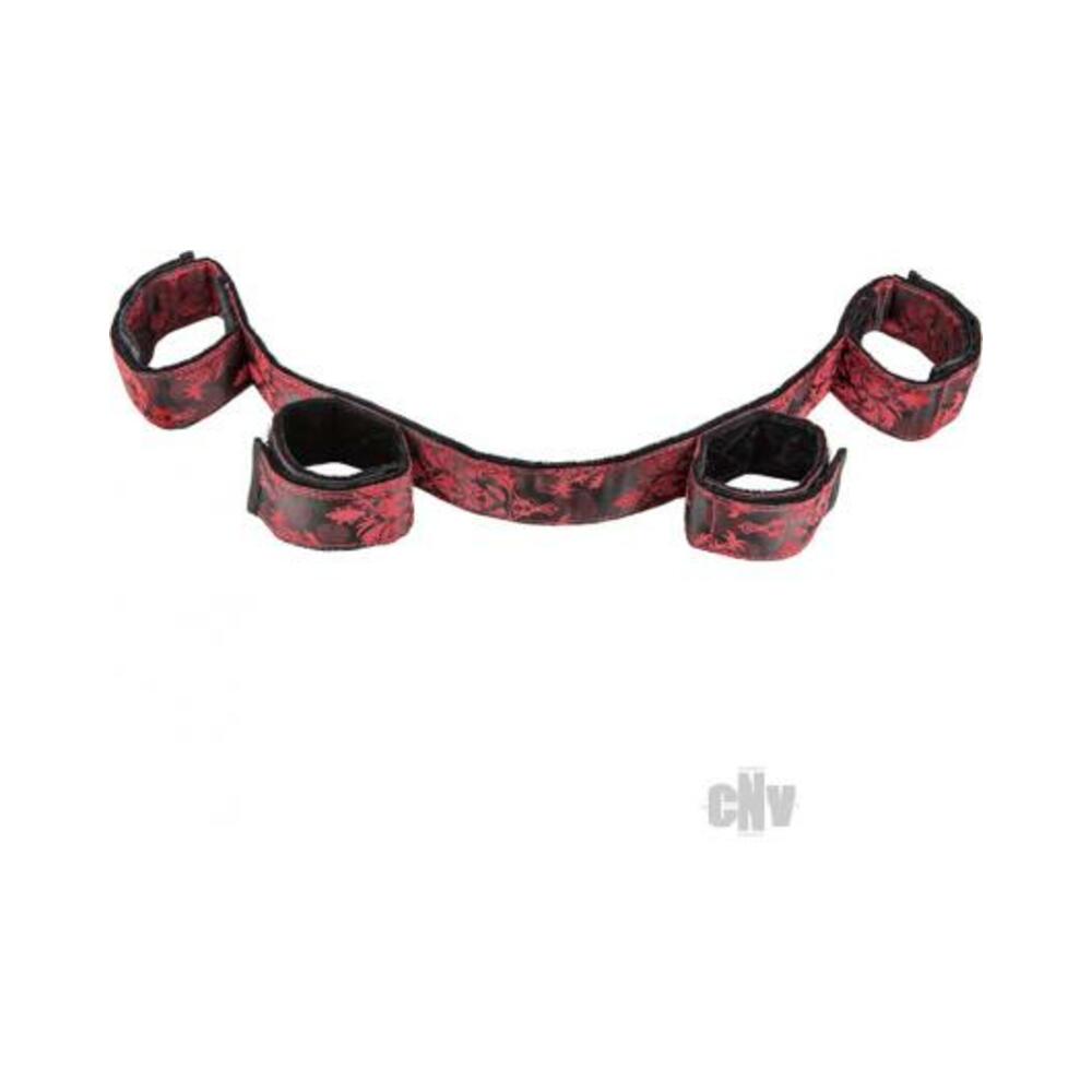 Scandal Bondage Bar