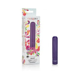 Tiny Teasers Bullet Vibrator Purple