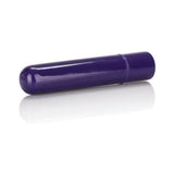 Tiny Teasers Bullet Vibrator Purple